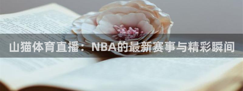山猫体育直播：NBA的最新赛事与精彩瞬间