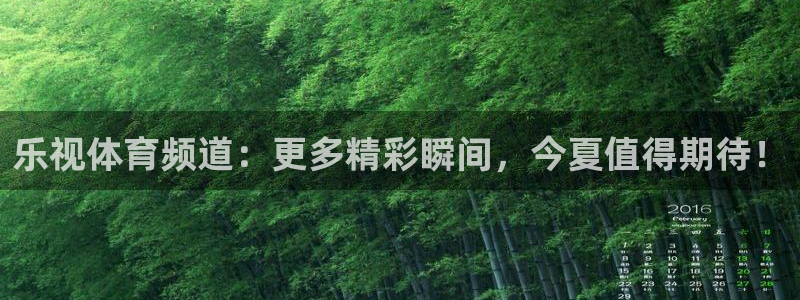 乐视体育频道：更多精彩瞬间，今夏值得期待！