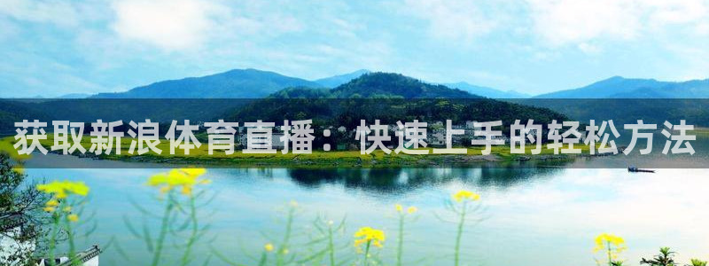 获取新浪体育直播：快速上手的轻松方法
