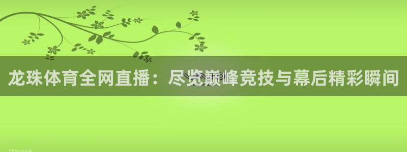 龙珠体育全网直播：尽览巅峰竞技与幕后精彩瞬间
