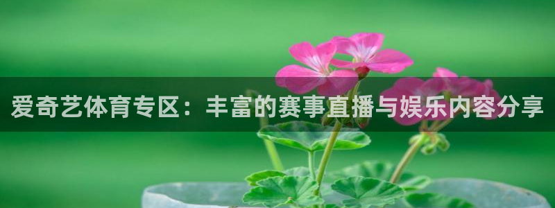 爱奇艺体育专区：丰富的赛事直播与娱乐内容分享