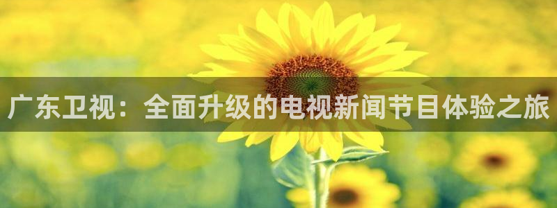 广东卫视：全面升级的电视新闻节目体验之旅