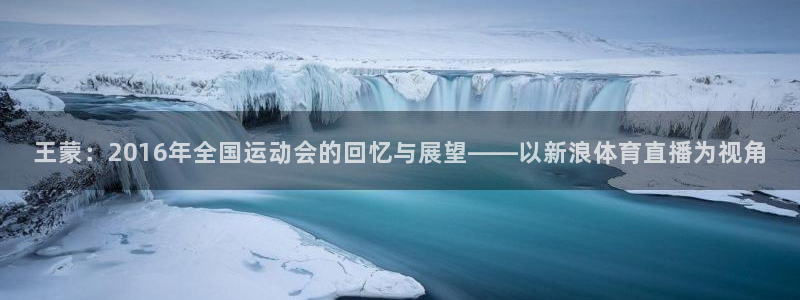 王蒙：2016年全国运动会的回忆与展望——以新浪体育直播为视角