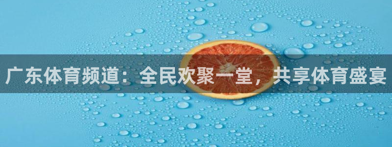 广东体育频道：全民欢聚一堂，共享体育盛宴