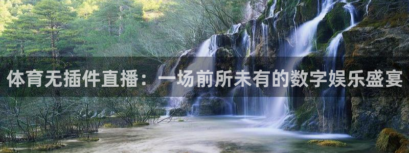 体育无插件直播：一场前所未有的数字娱乐盛宴