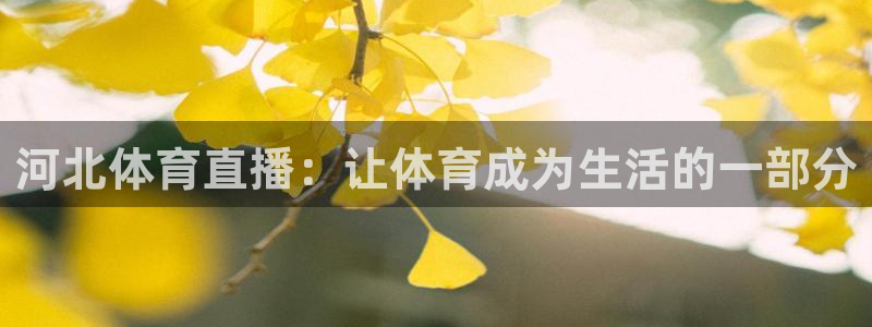 河北体育直播：让体育成为生活的一部分
