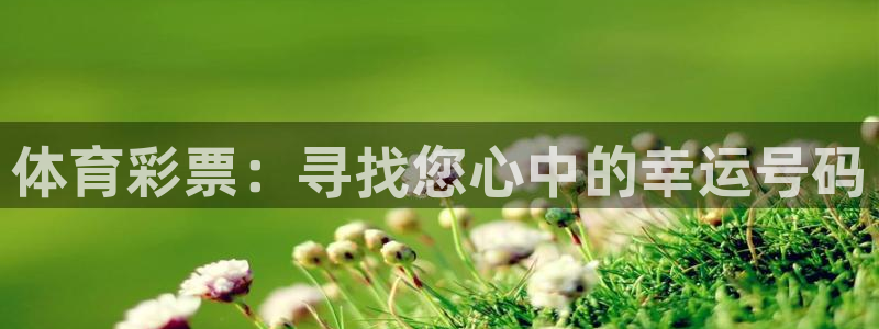 体育彩票：寻找您心中的幸运号码