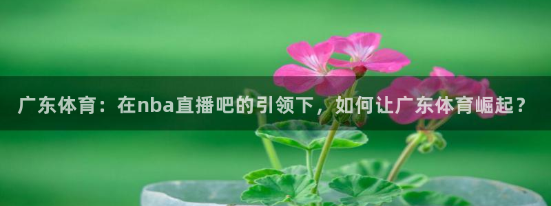 广东体育：在nba直播吧的引领下，如何让广东体育崛起？