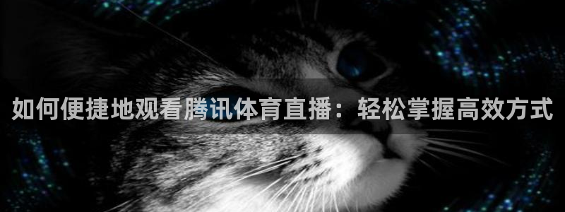 如何便捷地观看腾讯体育直播：轻松掌握高效方式