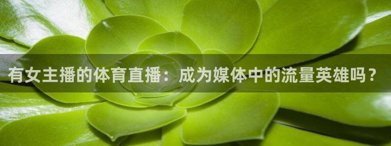 有女主播的体育直播：成为媒体中的流量英雄吗？