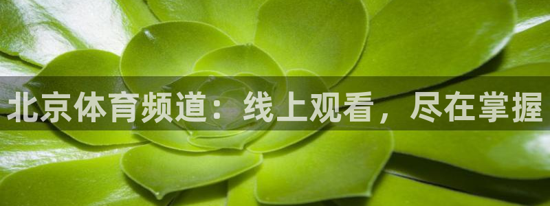 北京体育频道：线上观看，尽在掌握