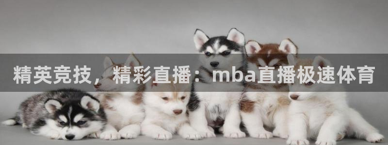 精英竞技，精彩直播：mba直播极速体育