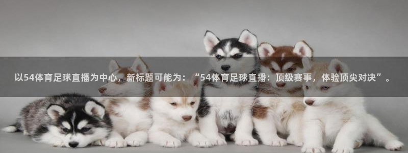以54体育足球直播为中心，新标题可能为：“54体育足球直播：顶级赛事，体验顶尖对决”。