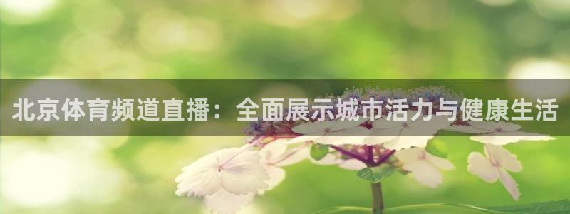北京体育频道直播：全面展示城市活力与健康生活
