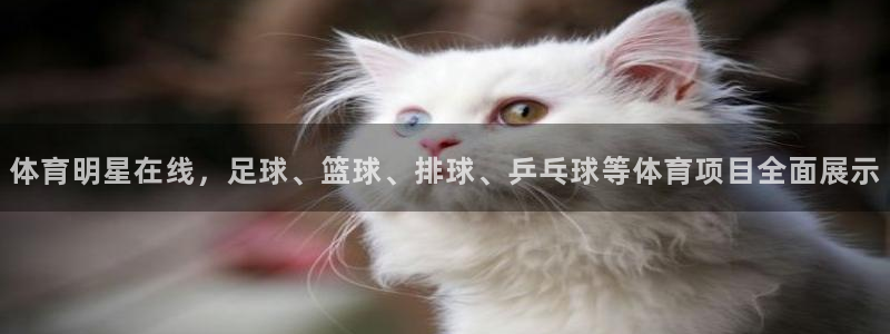 体育明星在线，足球、篮球、排球、乒乓球等体育项目全面展示