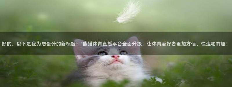 好的，以下是我为您设计的新标题：\