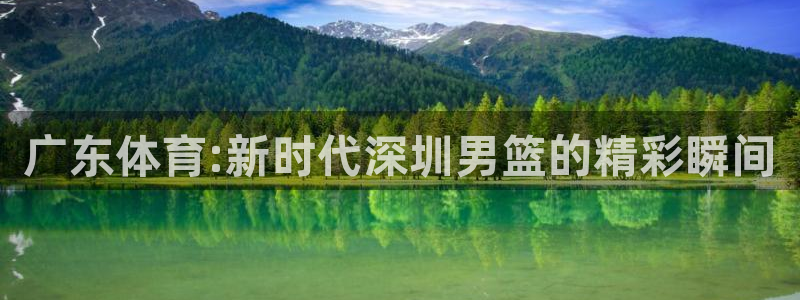 广东体育:新时代深圳男篮的精彩瞬间