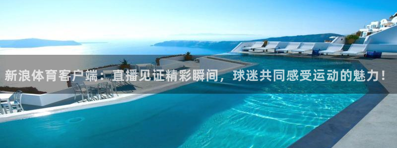 新浪体育客户端：直播见证精彩瞬间，球迷共同感受运动的魅力！