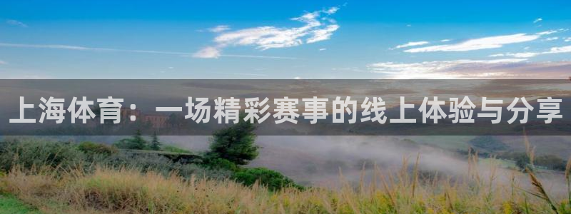 上海体育：一场精彩赛事的线上体验与分享