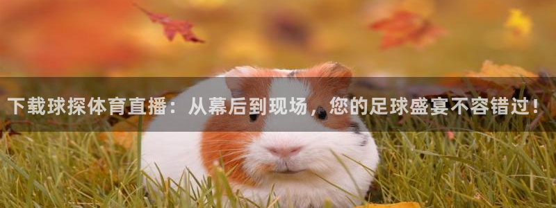 下载球探体育直播：从幕后到现场，您的足球盛宴不容错过！