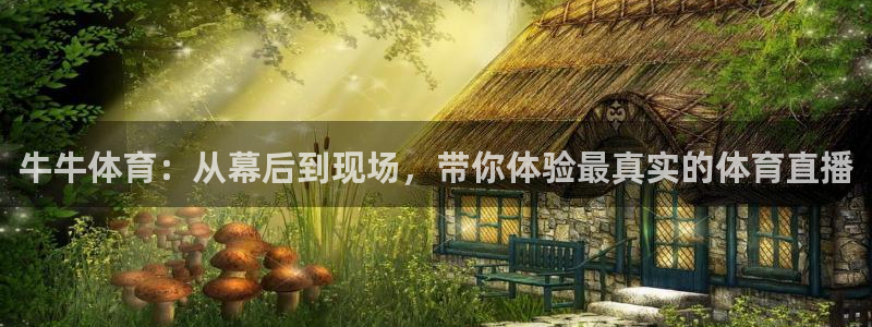 牛牛体育：从幕后到现场，带你体验最真实的体育直播