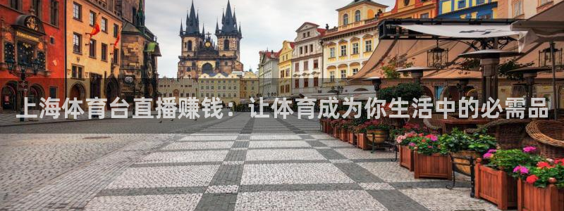 上海体育台直播赚钱：让体育成为你生活中的必需品