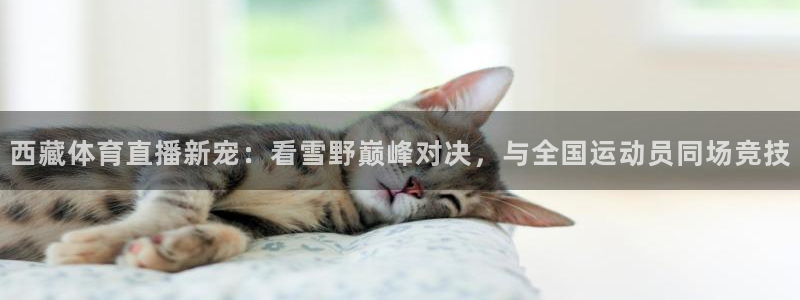 西藏体育直播新宠：看雪野巅峰对决，与全国运动员同场竞技