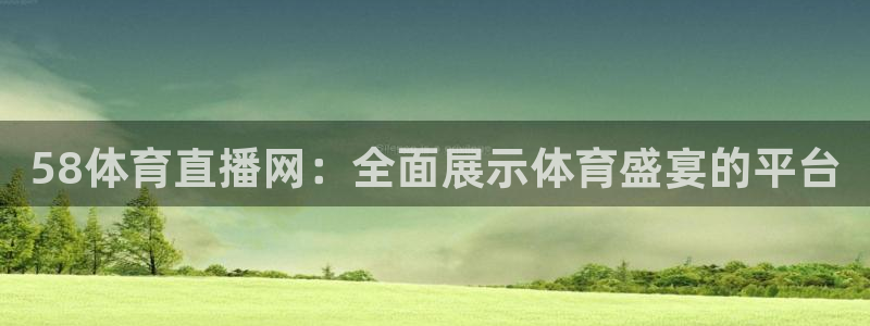 58体育直播网：全面展示体育盛宴的平台