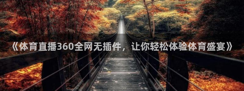 《体育直播360全网无插件，让你轻松体验体育盛宴》