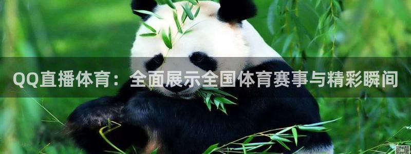 QQ直播体育：全面展示全国体育赛事与精彩瞬间