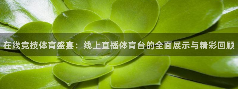 在线竞技体育盛宴：线上直播体育台的全面展示与精彩回顾