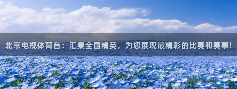 北京电视体育台：汇集全国精英，为您展现最精彩的比赛和赛事!